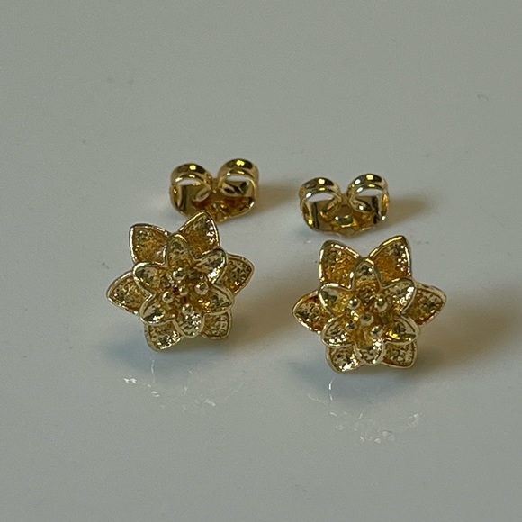 Dubai Gold-Toned Earrings - Picture 4 of 4